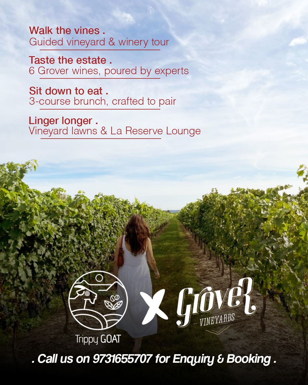 Vineyard Tour + Brunch | Grover Vineyards - 2