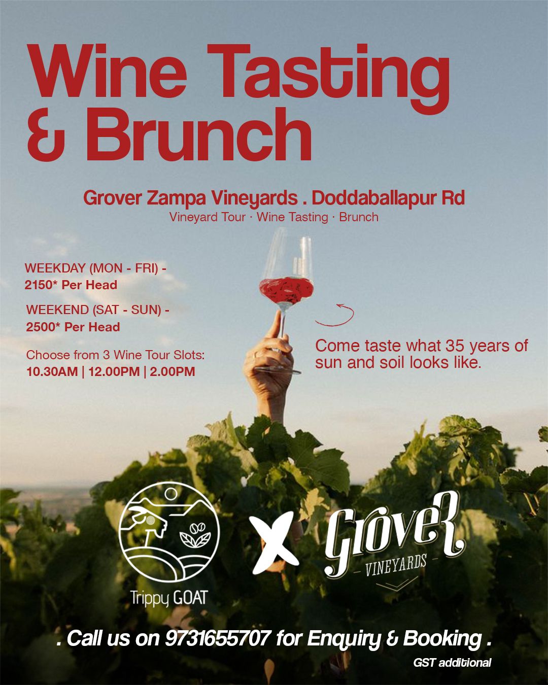 Vineyard Tour + Brunch | Grover Vineyards