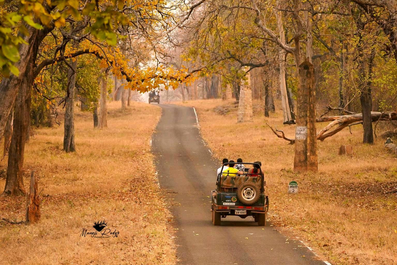 Let's explore Tadoba Tiger Reserve🐯 - 5