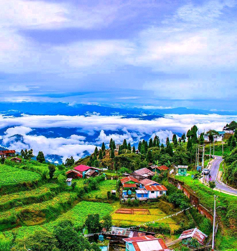 Darjeeling Group Trip - 1