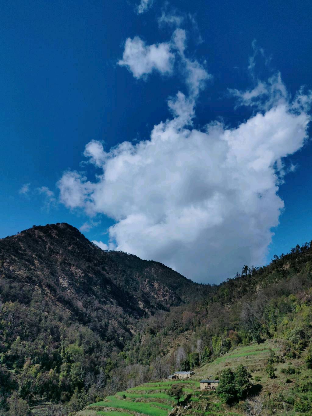 Trekking, Camping, We will Explore Bugyal and a Pahadi community.