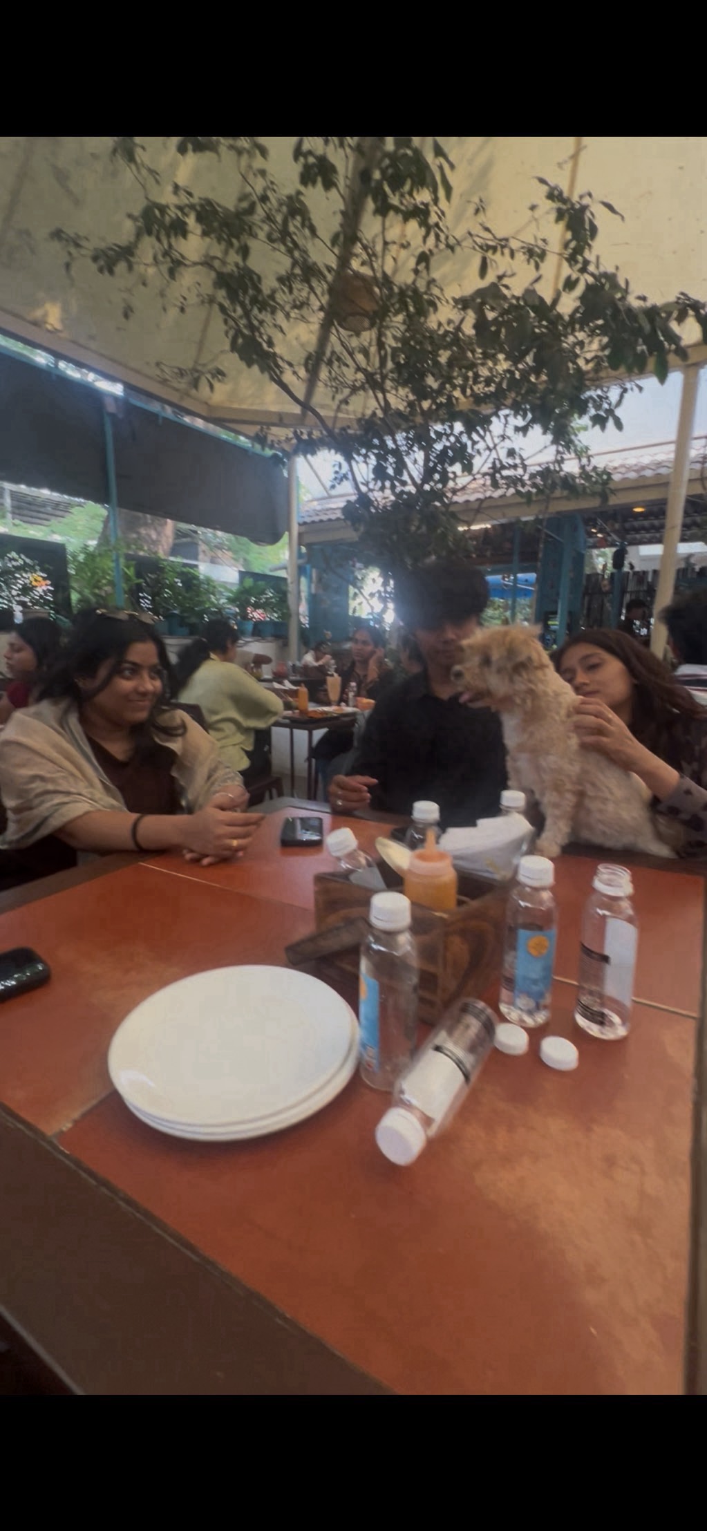 🎲 WeekendSquad Presents: Board Game Meetup  - 4