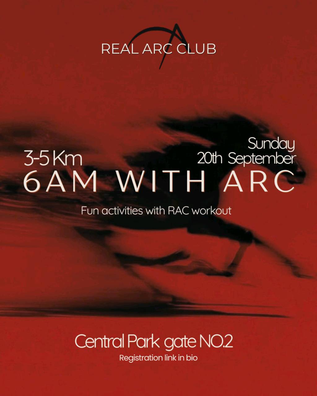 REALARCCLUB AT CENTRAL PARK